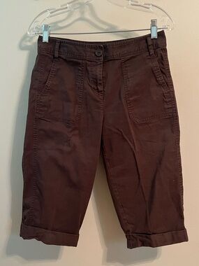 Liz & Co Brown Cuffed Shorts Size 4P